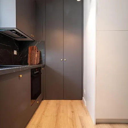Apartamento La Brise 4* I T3 Centre I Garage Annecy